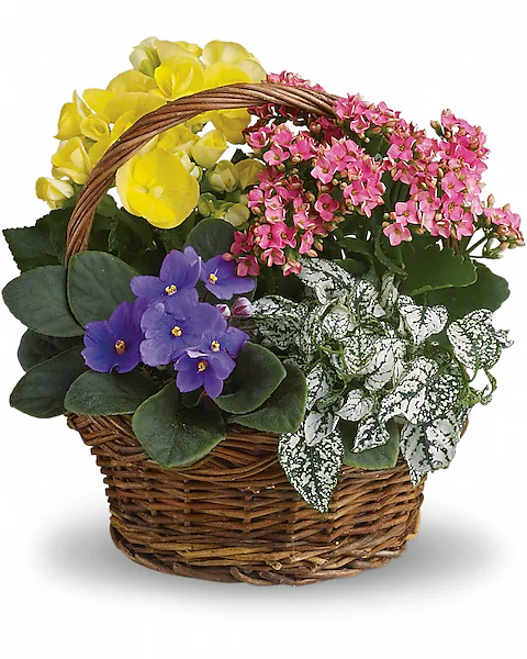 Spring Mixed Basket